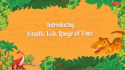 Havells Kids Fan