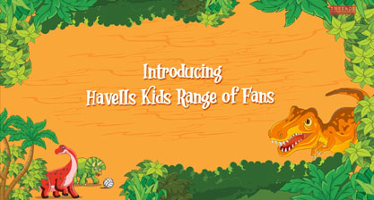 Havells Kids Fan