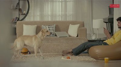 Nexus 5 DOG Film